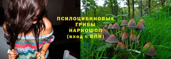 прущие крисы Балахна