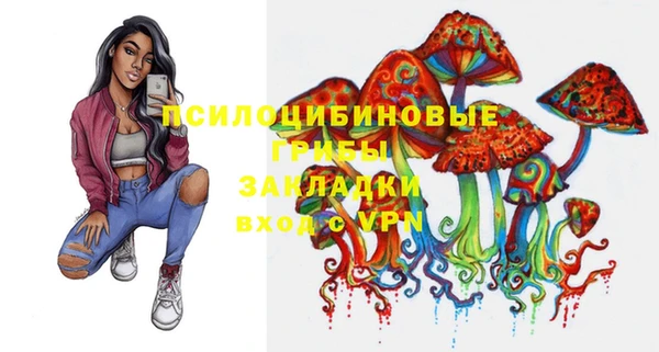 прущие крисы Балахна