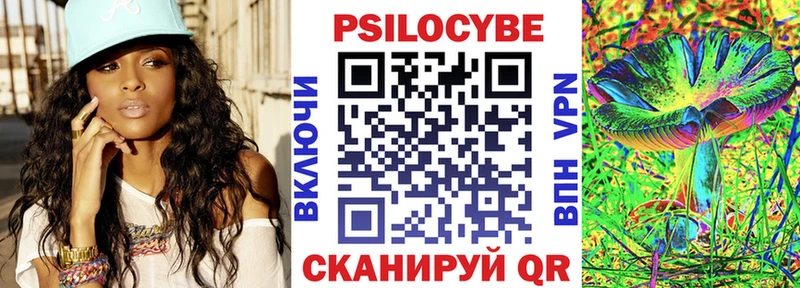 KRAKEN зеркало  Гвардейск  Галлюциногенные грибы Psilocybine cubensis  хочу наркоту 